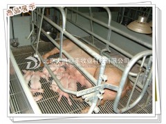 北京大鸿恒丰牧业科技有限公司供应分娩栏图2