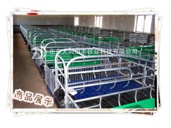 北京大鸿恒丰牧业科技有限公司供应分娩栏图3